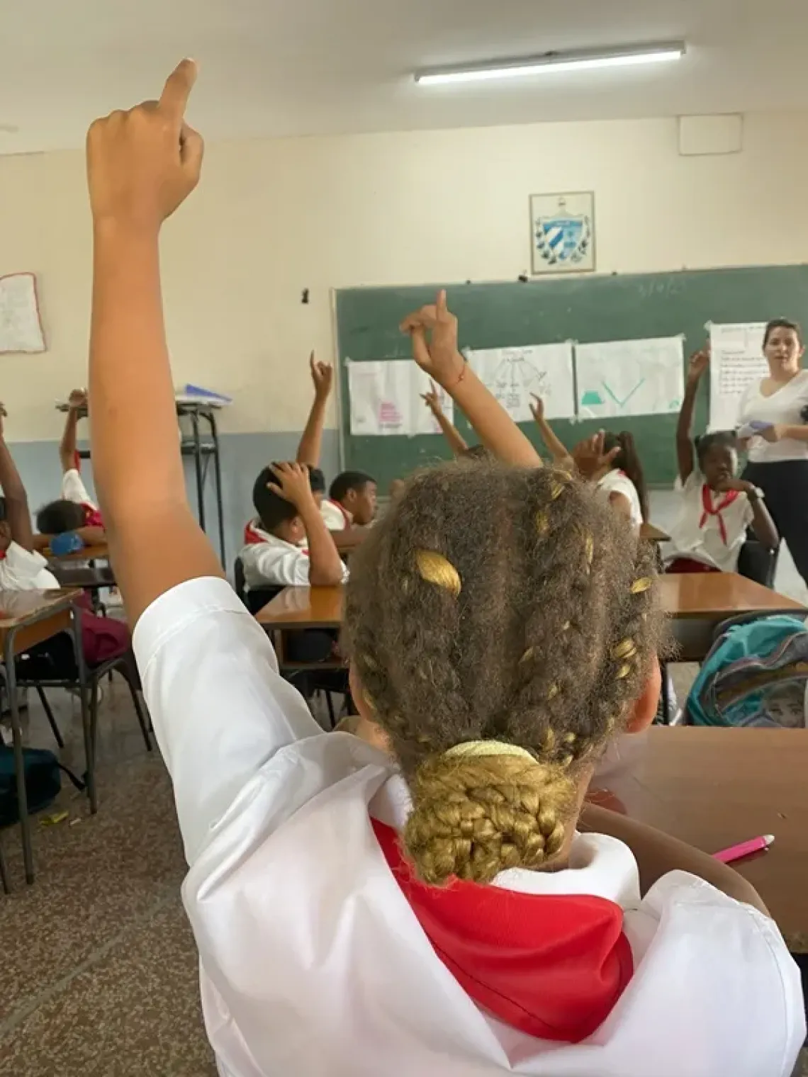 El proceso de consulta fortaleci&oacute; la cultura participativa y dej&oacute; un mensaje claro: una ley sobre la infancia debe construirse con la infancia