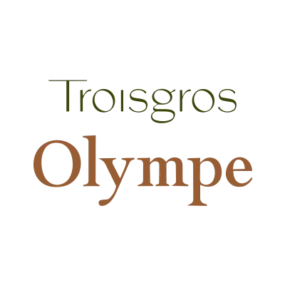 Logo Troigos - Icono
