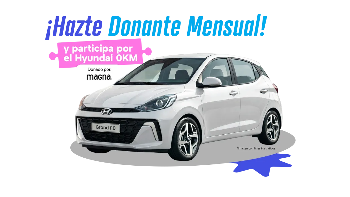 Teleton2026-BannerWeb-CarroDisplay