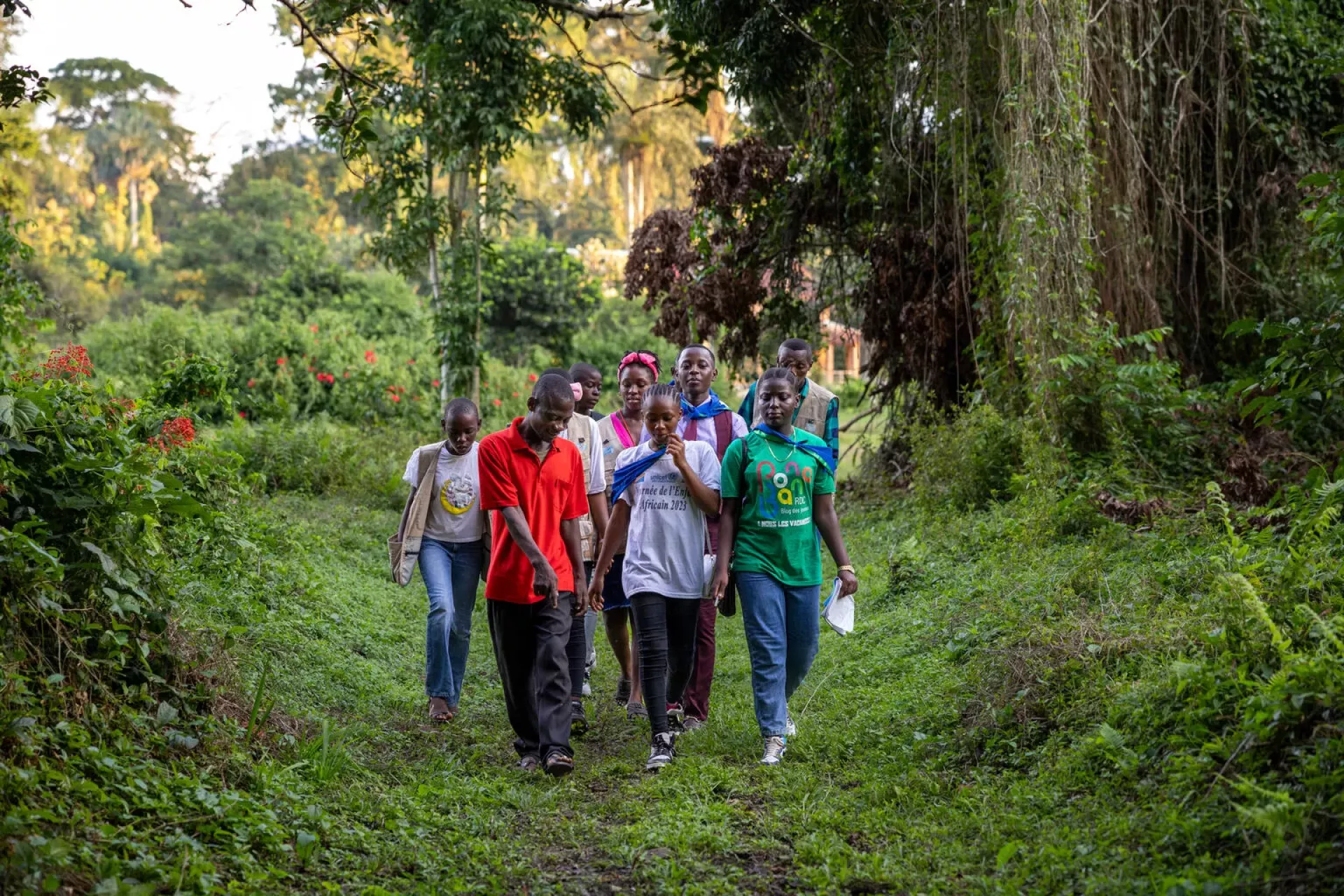 Un groupe d'Enfants Reporters marchent dans une for&ecirc;t