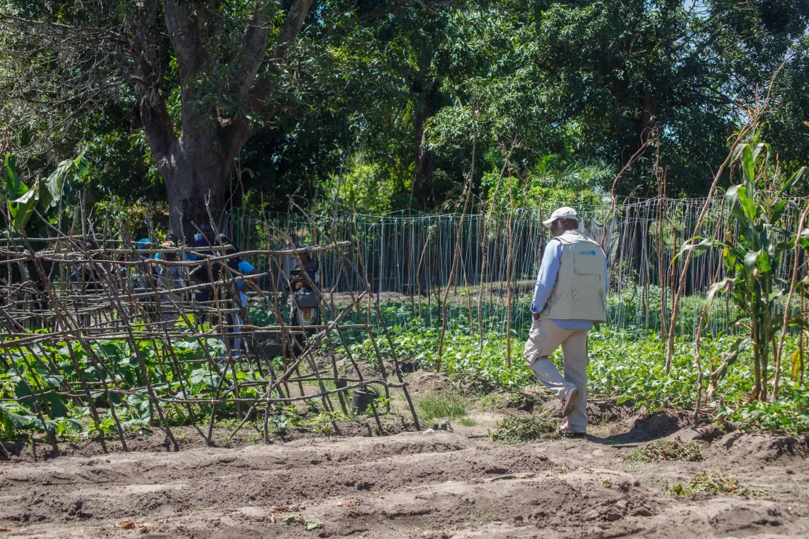 Un jardin communautaire