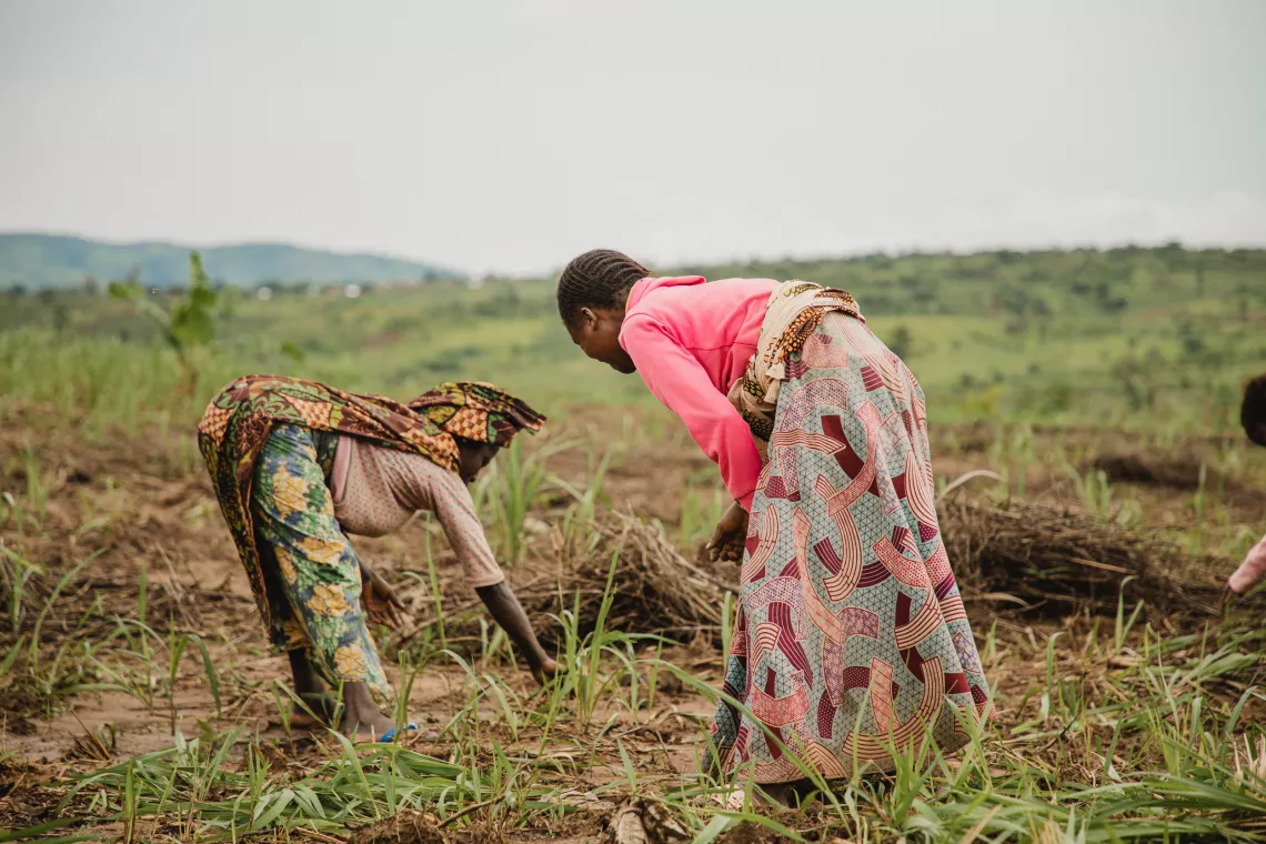 Bantu and Twa families work in a community field in Djuma-Malilo