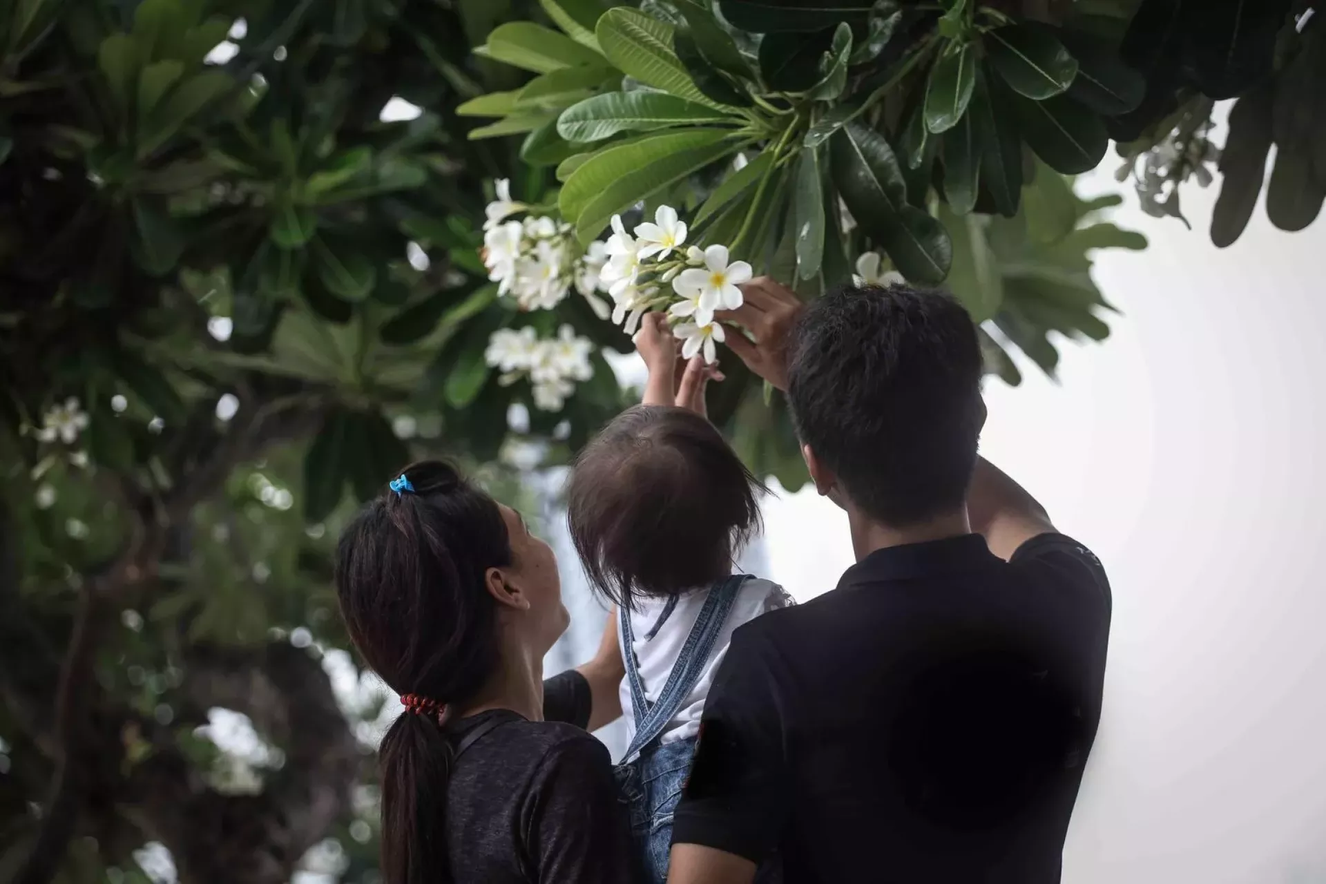 An HIV-infected mother, her HIV-free husband, and their daughter who was born free from HIV. 