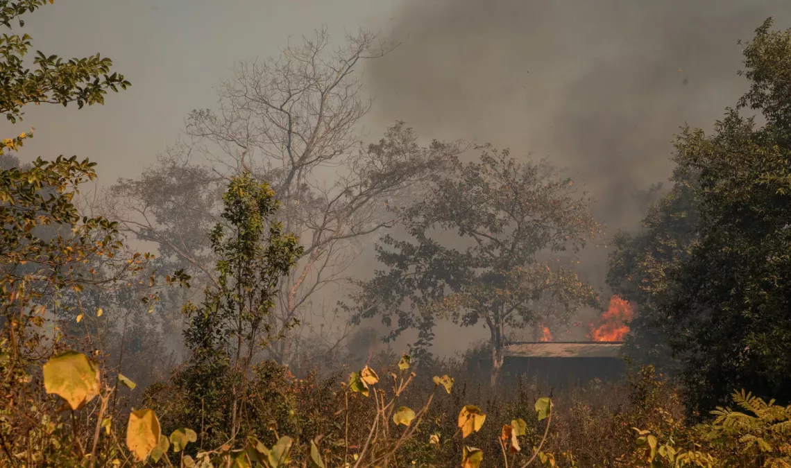 Slash-and-burn agriculture continues to impact forests along the Khammouane to Vientiane corridor in Laos
