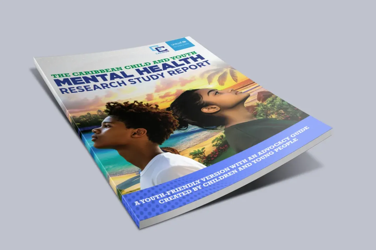 Mental Health Research Study Report