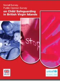 Social Survey-Public-Opinion-Survey-on-Child-Safeguarding-in-the-Virgin-Islands-(UK)