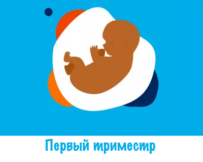 First trimester
