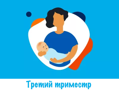 Третий триместр