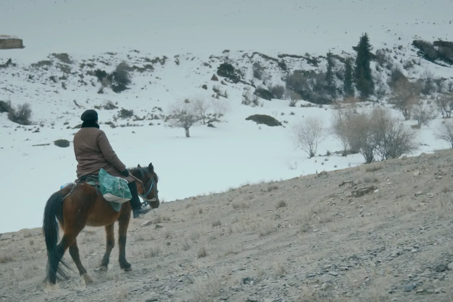 Delivering vaccines on horseback