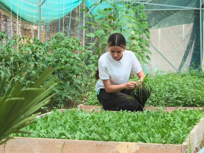 Safina (16) cares for plants in the eco-greenhouse of School No. 74 in Denau, Surkhandarya region, Uzbekistan.