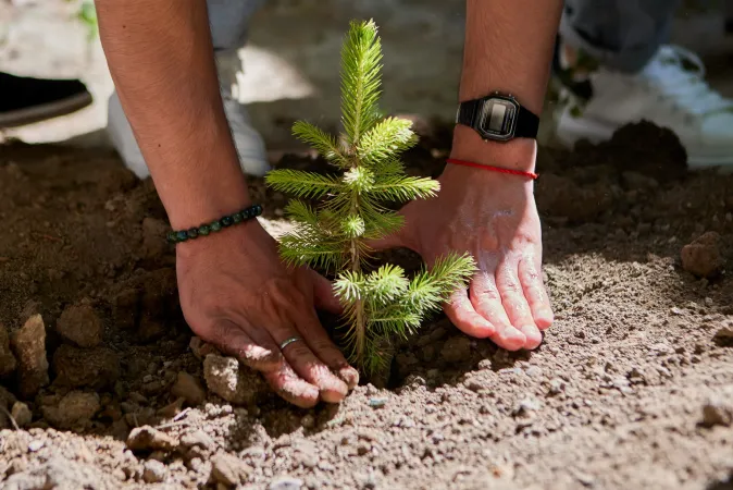 Armenia Launches Climate Change Youth Advisory Board