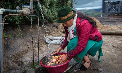 Desnutrici&oacute;n cr&oacute;nica infantil