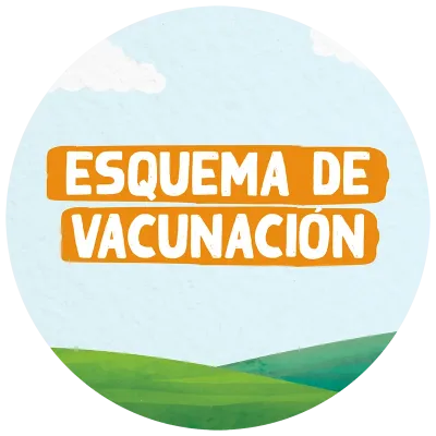 Esquema de vacunaci&oacute;n