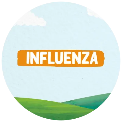 Influenza