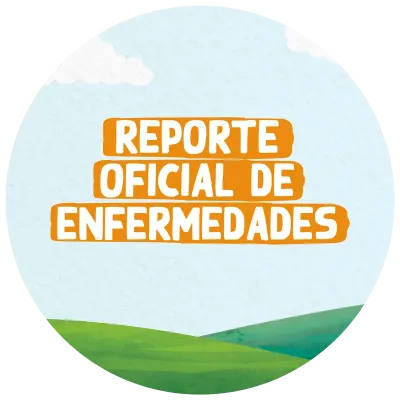 Reporte oficial de enfermedades