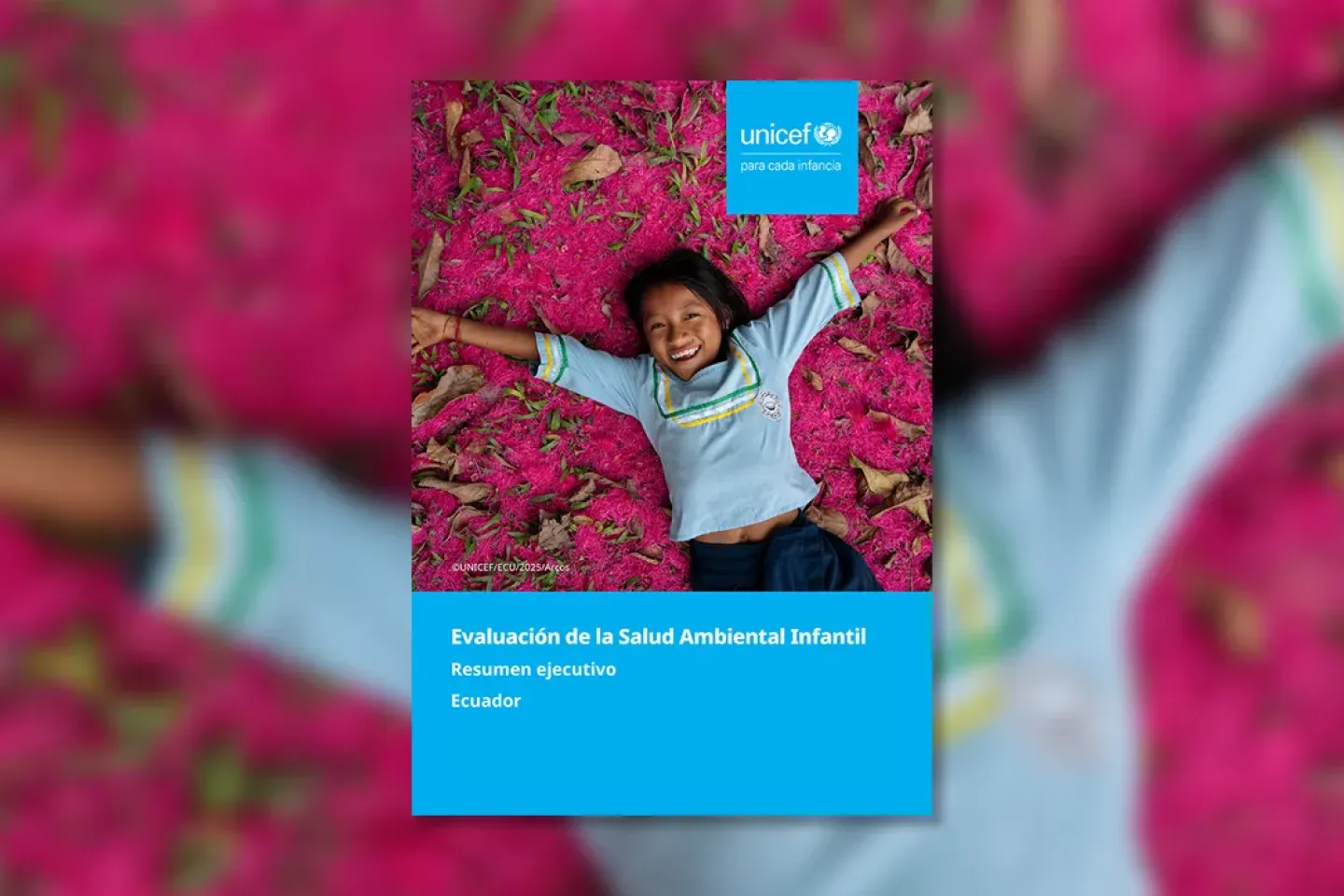 Evaluaci&oacute;n de la salud ambiental infantil