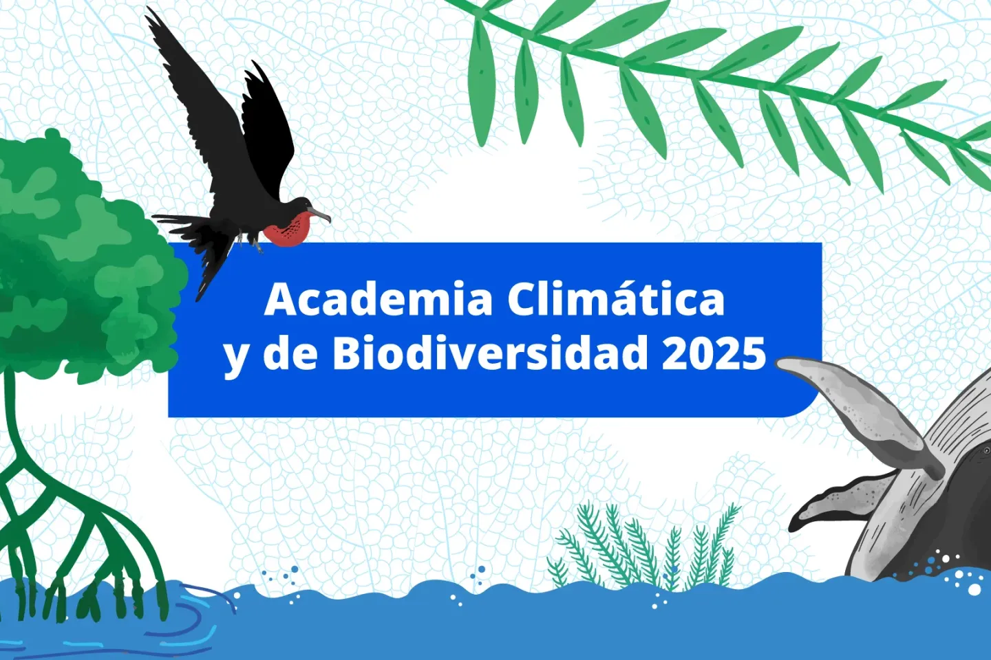 Academia Clim&aacute;tica y de Biodiversidad Marino-Costera