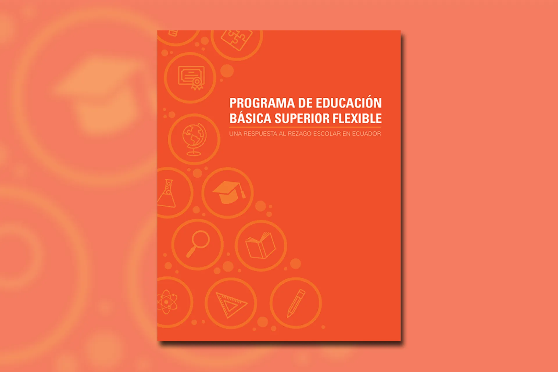 Programa de Educaci&oacute;n B&aacute;sica Superior Flexible