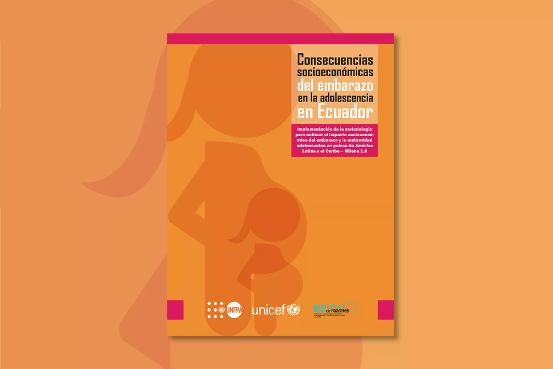 Consecuencias socioecon&oacute;micas del embarazo en la adolescencia en Ecuador