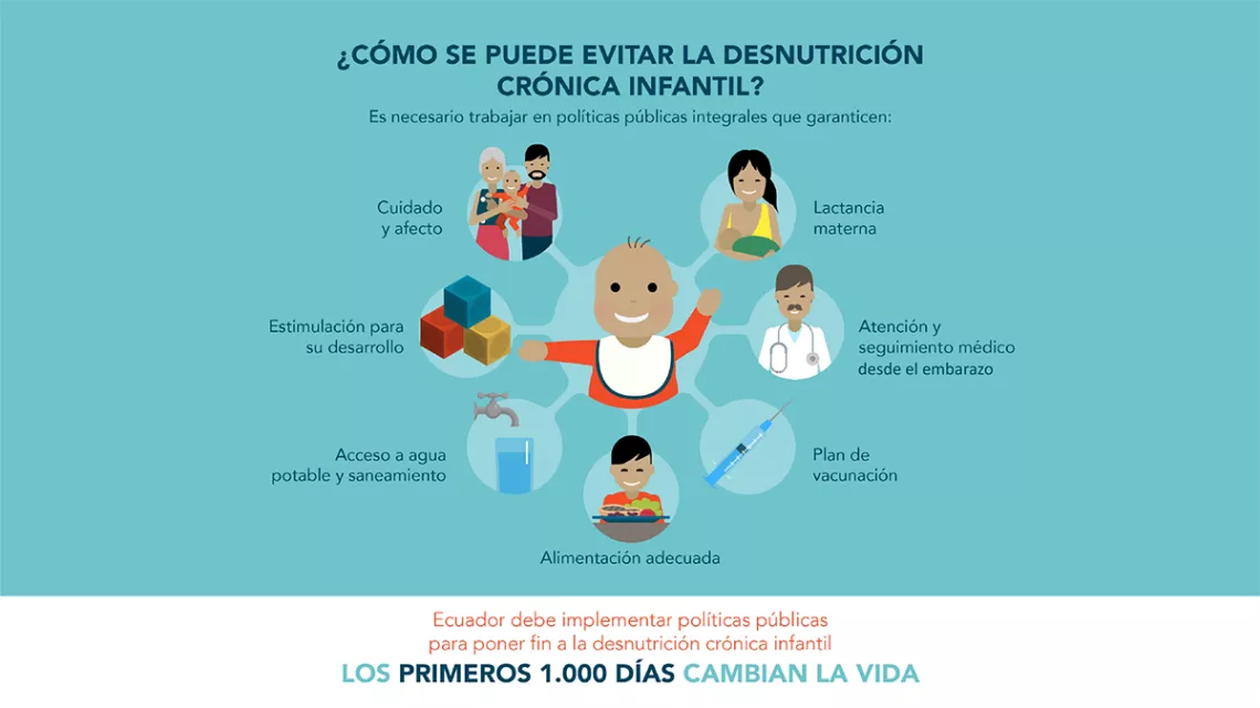 &iquest;C&oacute;mo se puede evitar la desnutrici&oacute;n cr&oacute;nica infantil?