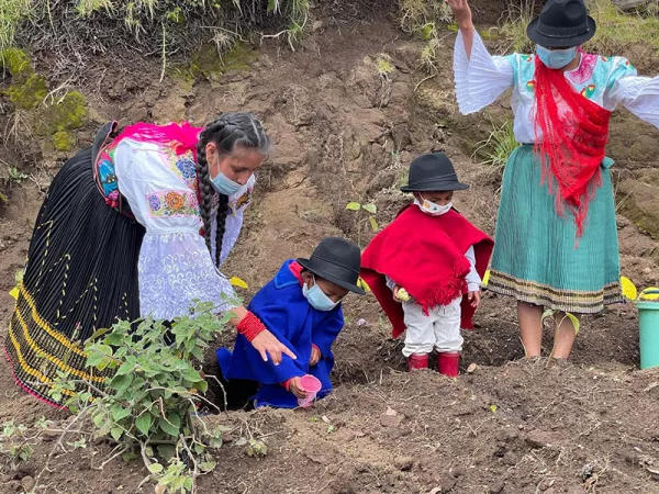 Los efectos de la pandemia en el bienestar de los hogares en Ecuador