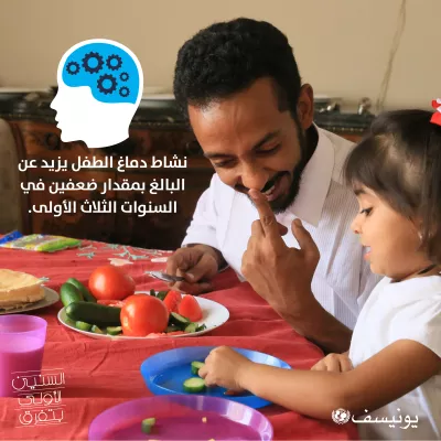 حقائق عن الثلاث سنوات الأولى