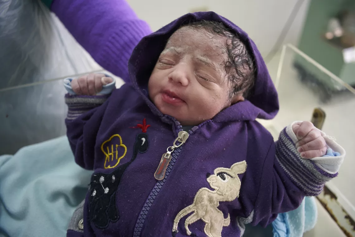 The Perinatal and Neonatal Mortality Surveillance System (PNMSS) in action at Al-Quseya hospital, Assuit, Egypt.