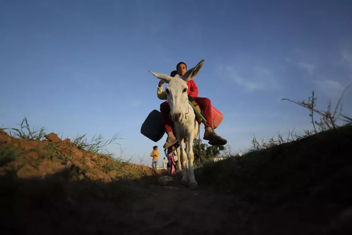  How UNICEF's Revolving Fund Programme is Transforming Lives in Upper Egypt 