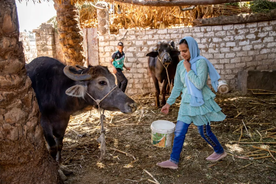 Yasmine, 12, lives in the village of Kom Abu Sheil in Asyut governorate.