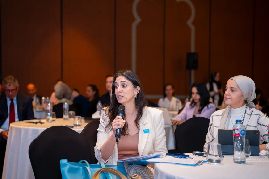Annual Joint Platform reviews progress, discusses emerging priorities and advances  evidence-based action across Egypt. 