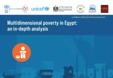Multidimensional poverty in Egypt: an in-depth analysis