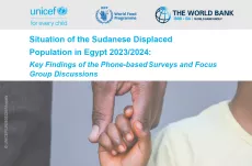 Situation of the Sudanese Displaced Population in Egypt 2023/2024
