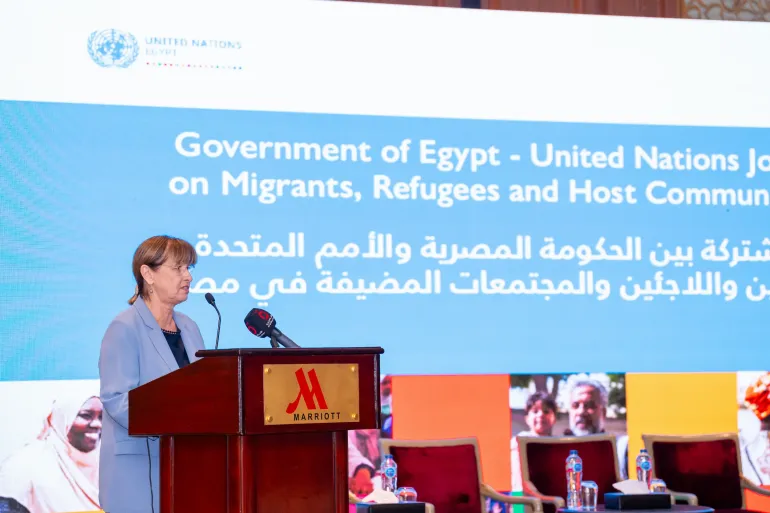 Annual Joint Platform reviews progress, discusses emerging priorities and advances  evidence-based action across Egypt. 