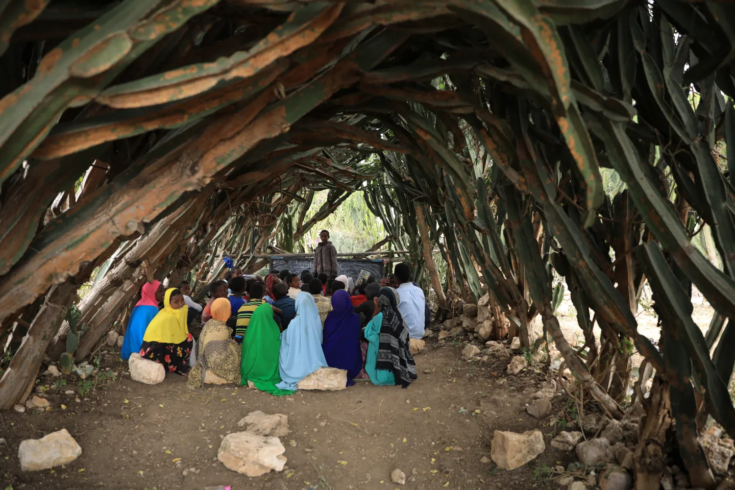 Children attend class under cactus tree 