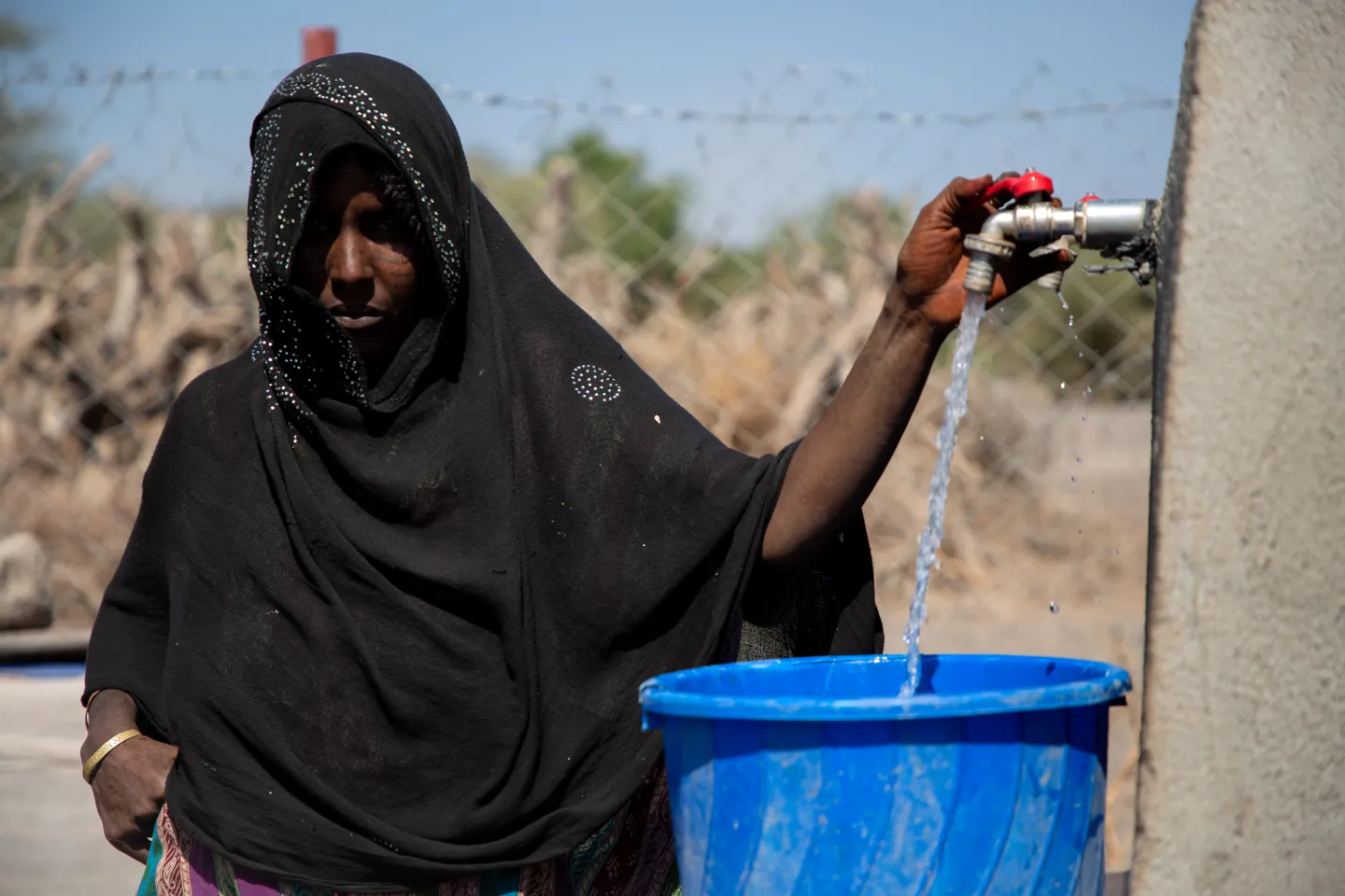 Coping with drought in the Afar region
