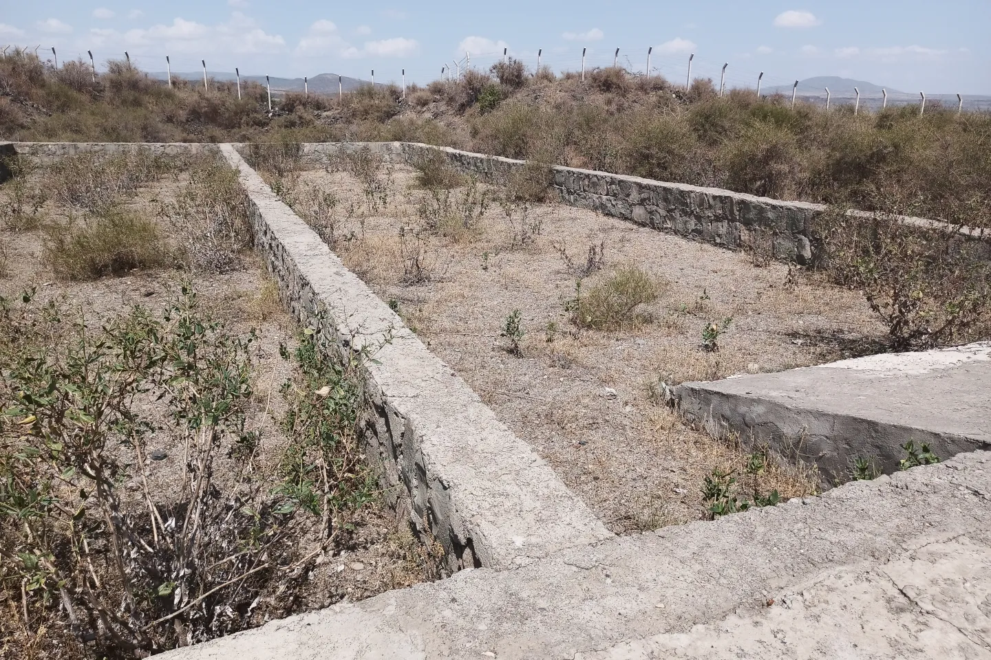 Dry bed for fecal sludge management