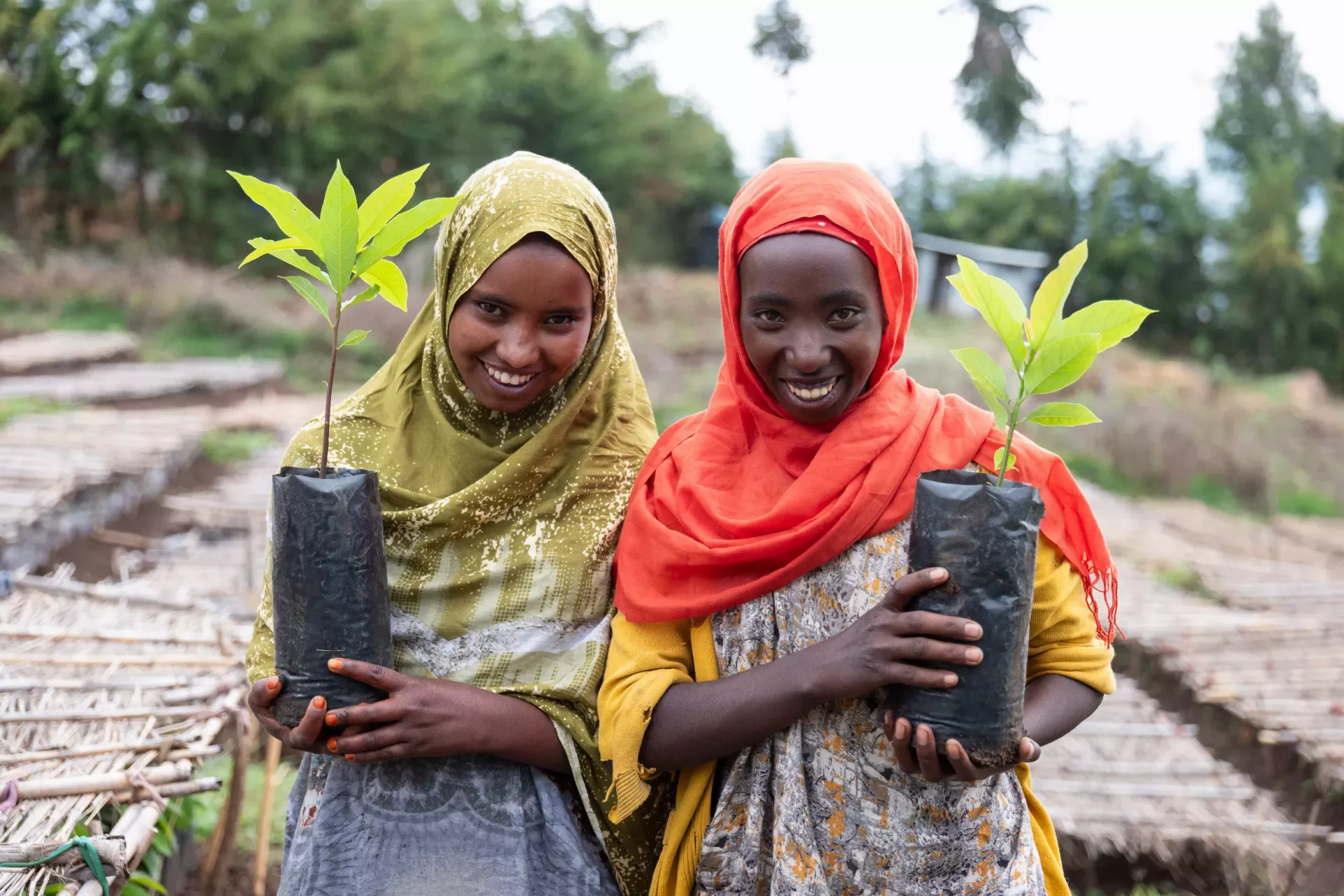 Two young girls wearing standing together and holding seedling in their hands 