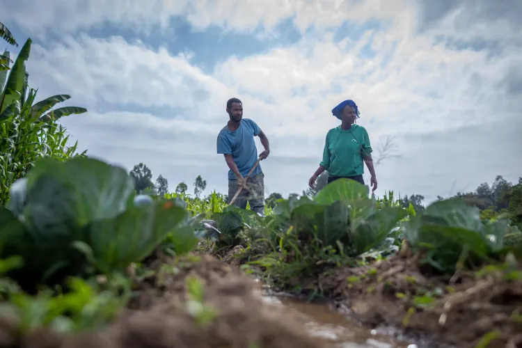 A husband and wife working on a vegetable farm 