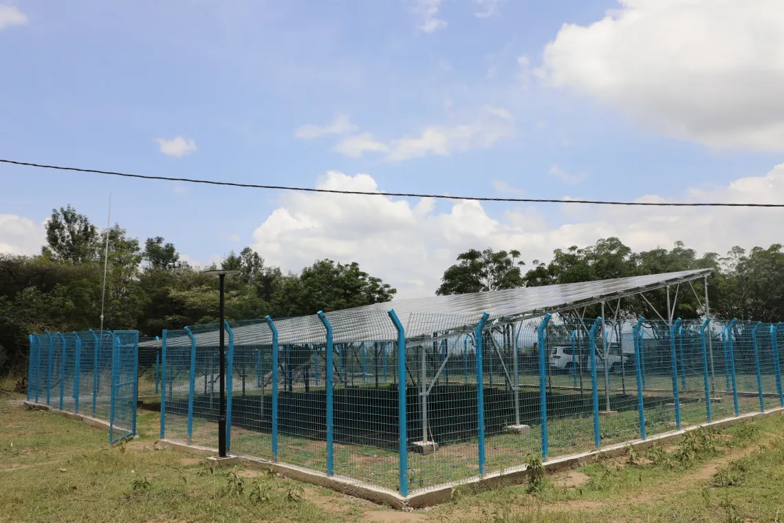 Solar panels for solarized water system