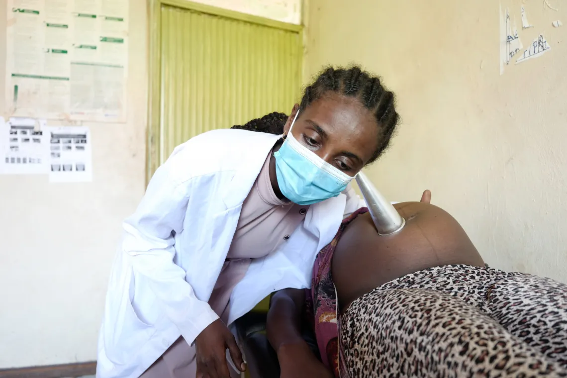 A health worker conducting antenatal follow-up. 