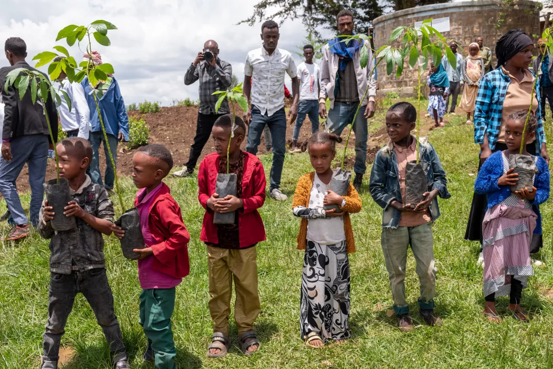 Group of little children standing together and holding seedling
