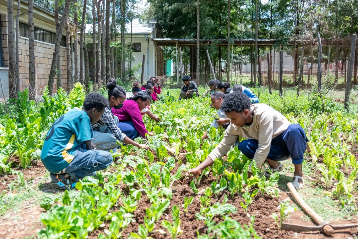 A group of young people working on a vegetable farm
