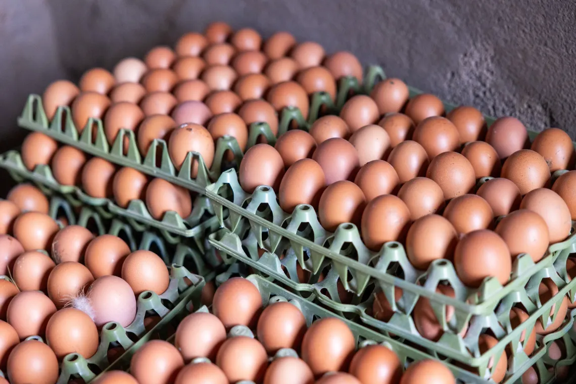 Close-up of stacks of brown eggs in green trays.