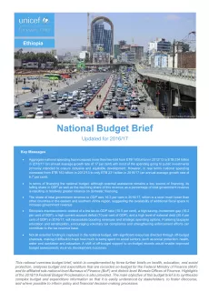 National Budget Brief 