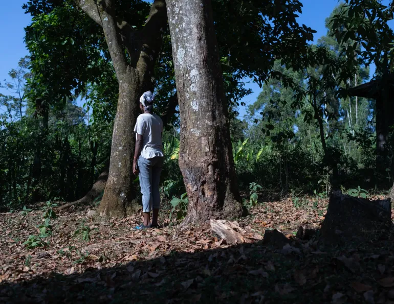 A young girl showing her back while she stands between trees