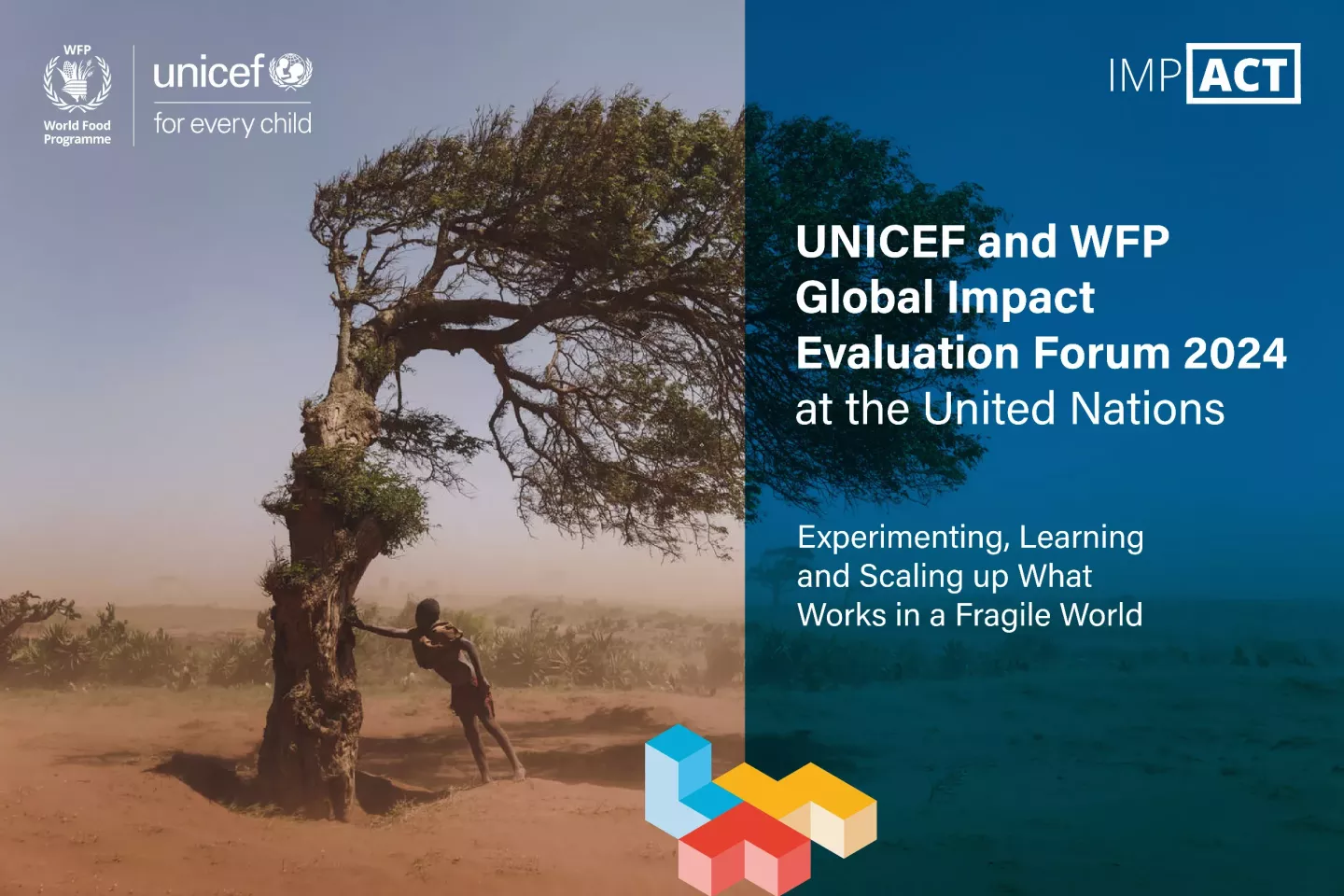 Cubes UNICEF and WFP Global Impact Evaluation Forum 2024 at the United Nations