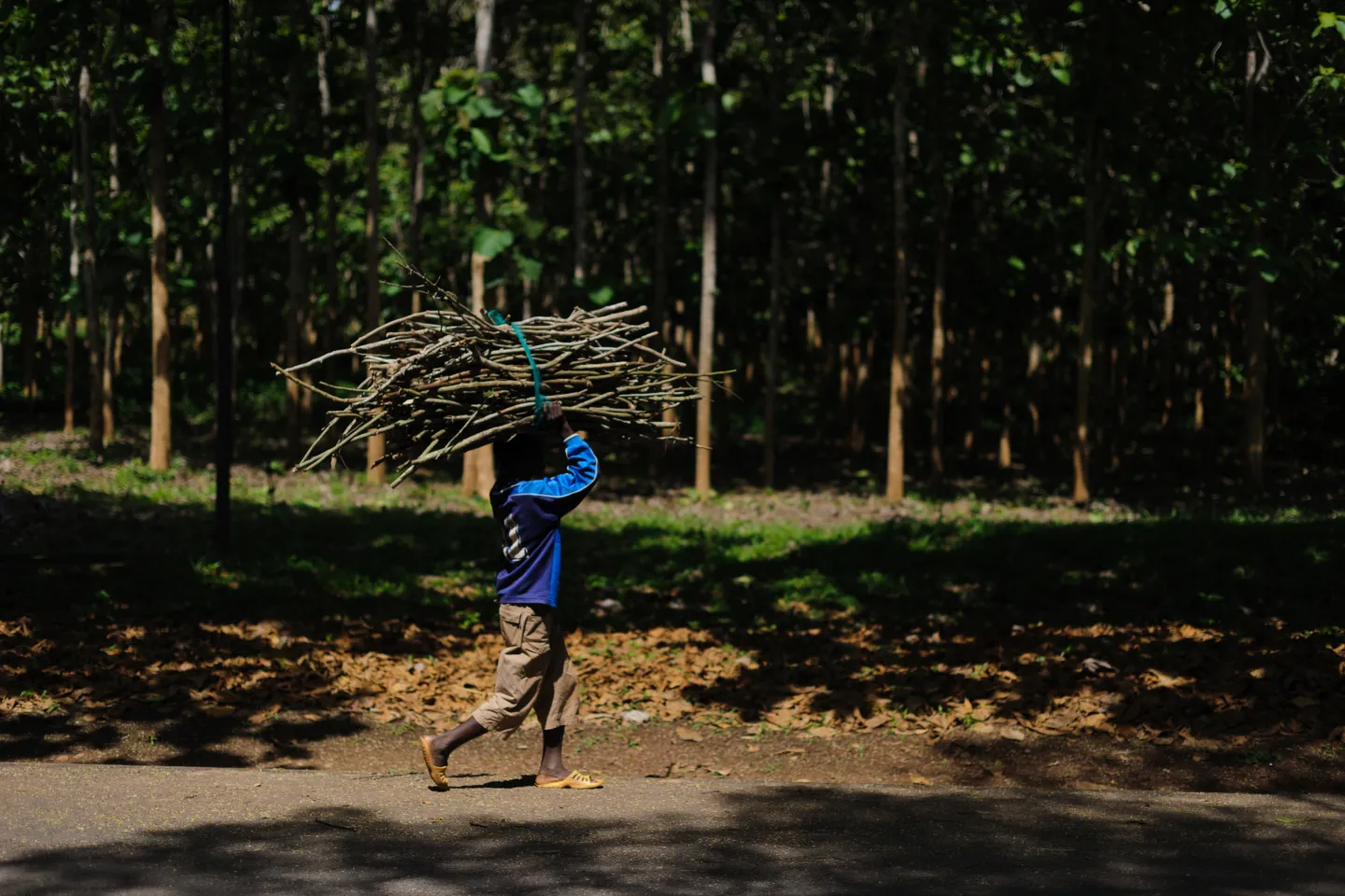 A boy carrying firewood in Cape Coast in the Central Region of Ghana on 20 May 2012.