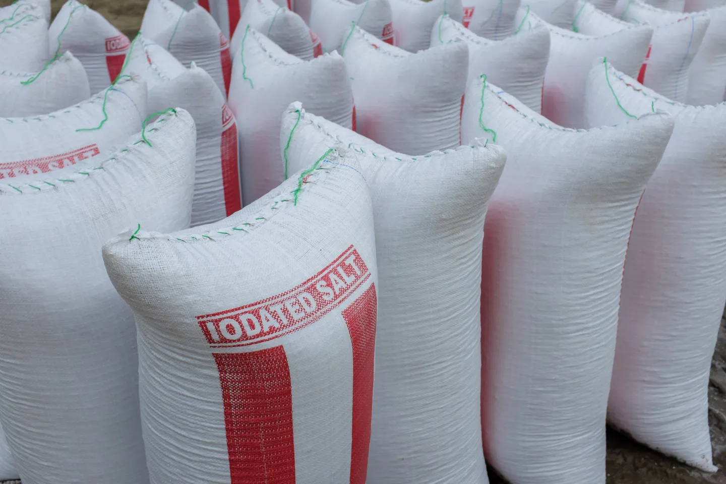 Bags of salt marked as "iodated" at a salt production operation near Koluedor on the edge of the Songhor Lagoon in Ghana on 18 May 2015