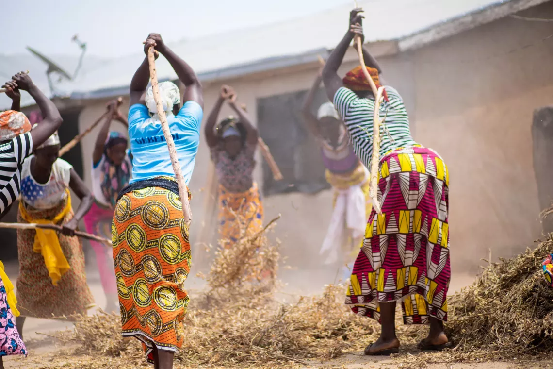 Women with sticks hit dry leaves on the floor.