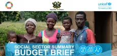 family and text - social sector summary Budget Brief 